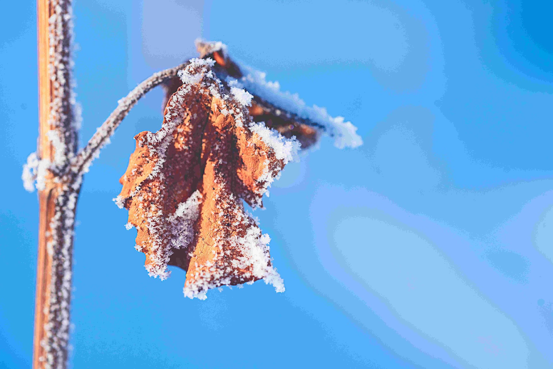 Z6��������ʱ��(�й���)�ٷ���վ